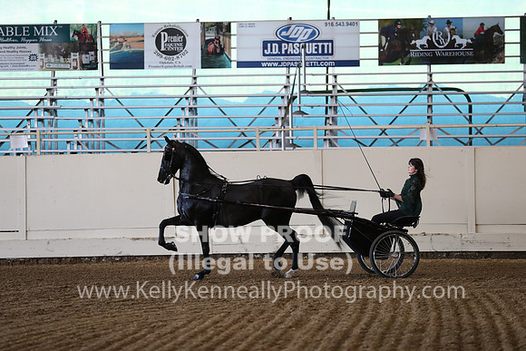 CA_Springfest19_ThursPM_8609
