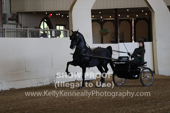 CA_Springfest19_ThursPM_8613