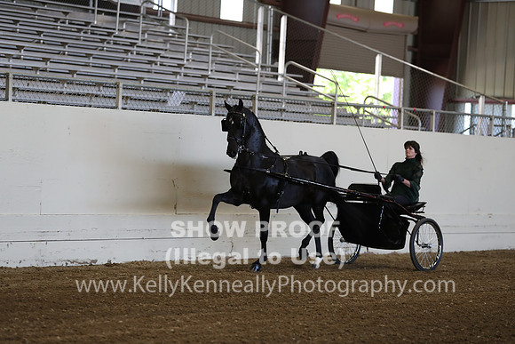 CA_Springfest19_ThursPM_8615