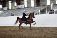 CA_Springfest19_ThursPM_8549