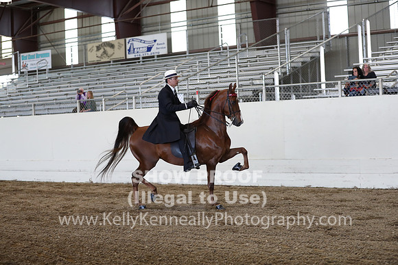 CA_Springfest19_ThursPM_8549