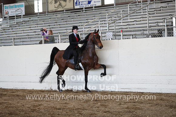 CA_Springfest19_ThursPM_8552