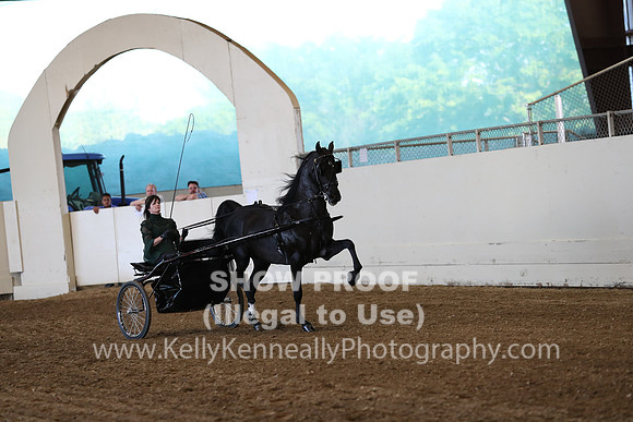 CA_Springfest19_ThursPM_8621