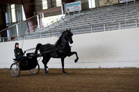 CA_Springfest19_ThursPM_8622