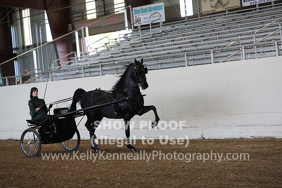 CA_Springfest19_ThursPM_8622