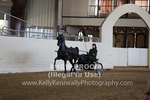 CA_Springfest19_ThursPM_8624