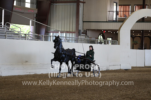 CA_Springfest19_ThursPM_8625