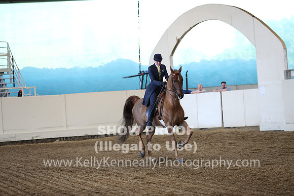 CA_Springfest19_ThursPM_8556