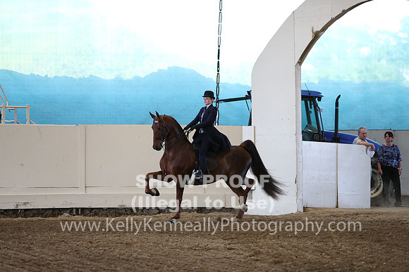 CA_Springfest19_ThursPM_8635