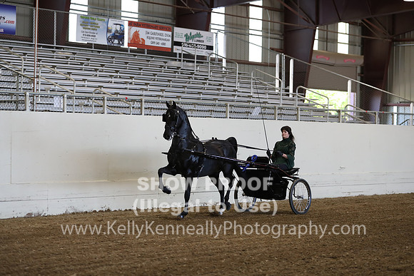 CA_Springfest19_ThursPM_8627