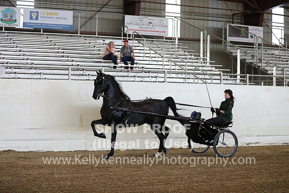 CA_Springfest19_ThursPM_8630