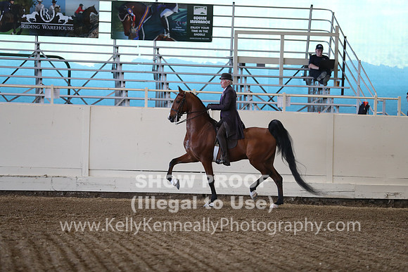 CA_Springfest19_ThursPM_8645