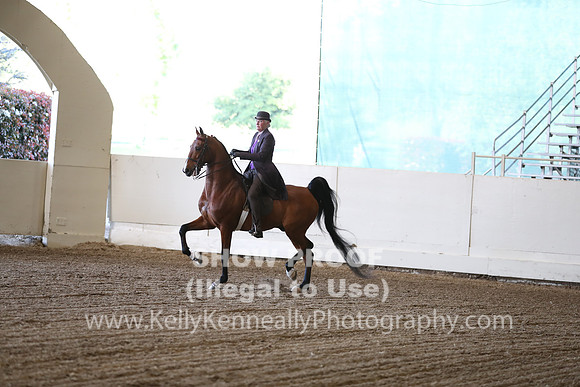 CA_Springfest19_ThursPM_8648