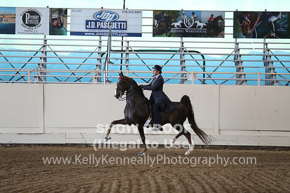 CA_Springfest19_ThursPM_8649