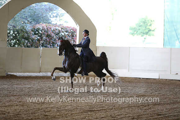 CA_Springfest19_ThursPM_8653