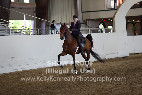 CA_Springfest19_ThursPM_8656