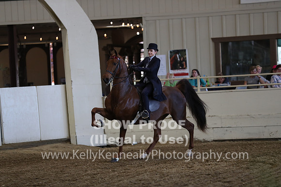 CA_Springfest19_ThursPM_8665