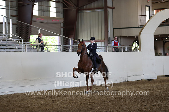 CA_Springfest19_ThursPM_8670