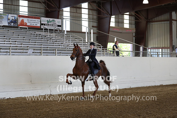 CA_Springfest19_ThursPM_8672