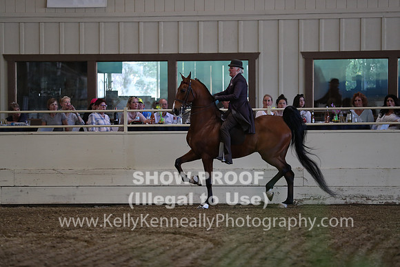 CA_Springfest19_ThursPM_8678