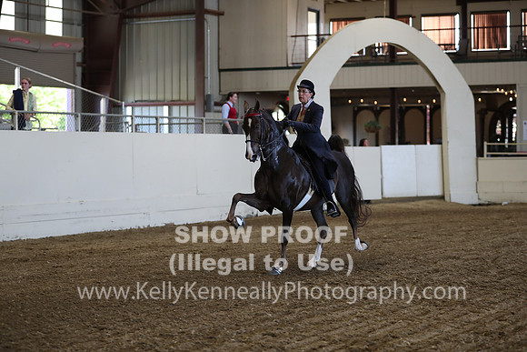 CA_Springfest19_ThursPM_8689