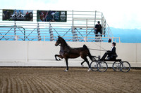 Class 14 ASB Fine Harness Open