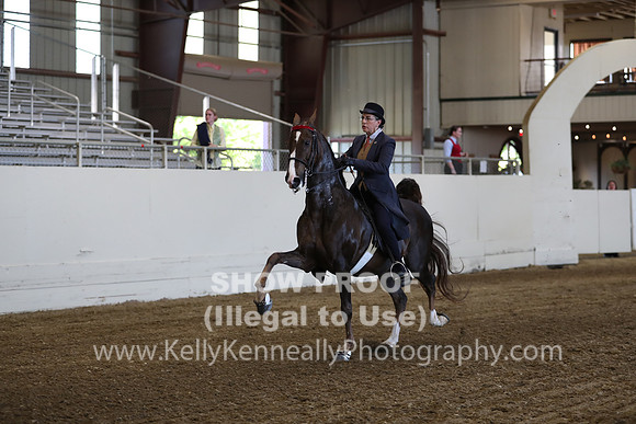 CA_Springfest19_ThursPM_8690