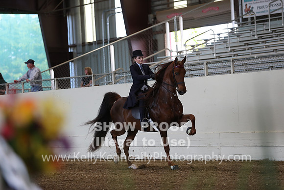 CA_Springfest19_ThursPM_8694