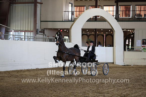 CA_Springfest19_ThursPM_8781