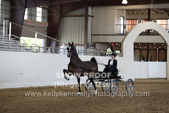 CA_Springfest19_ThursPM_8782