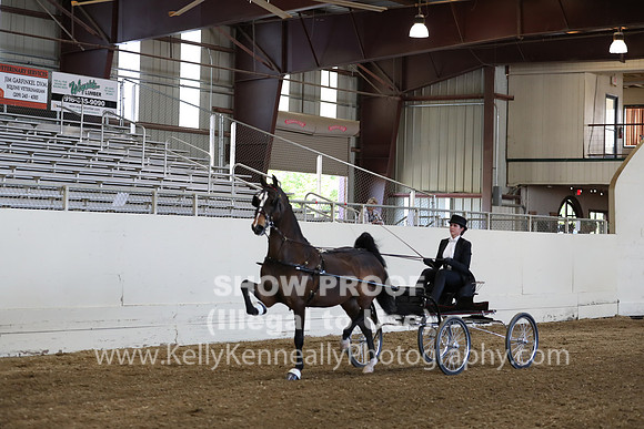 CA_Springfest19_ThursPM_8783