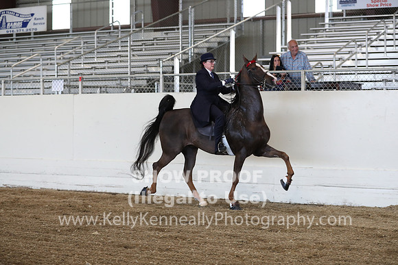 CA_Springfest19_ThursPM_8699