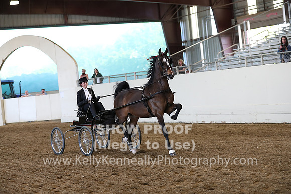 CA_Springfest19_ThursPM_8792