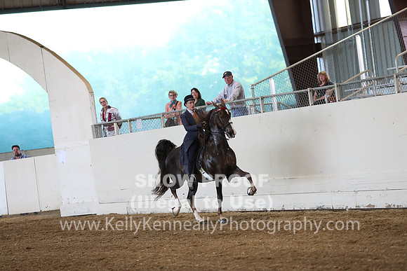 CA_Springfest19_ThursPM_8707