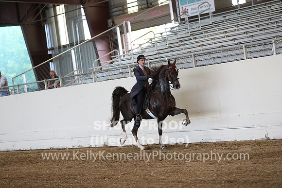 CA_Springfest19_ThursPM_8710