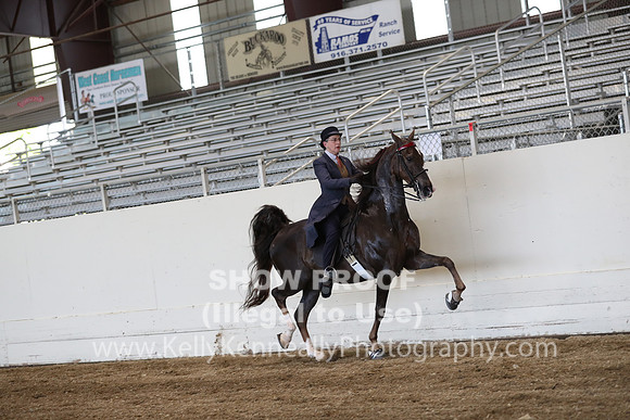 CA_Springfest19_ThursPM_8712