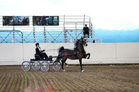 CA_Springfest19_ThursPM_8794