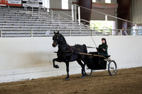 CA_Springfest19_ThursPM_8823