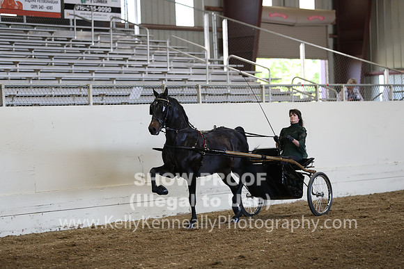 CA_Springfest19_ThursPM_8823
