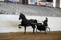 CA_Springfest19_ThursPM_8824
