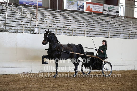CA_Springfest19_ThursPM_8824