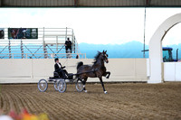 CA_Springfest19_ThursPM_8795