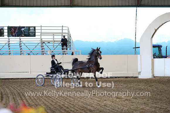 CA_Springfest19_ThursPM_8795