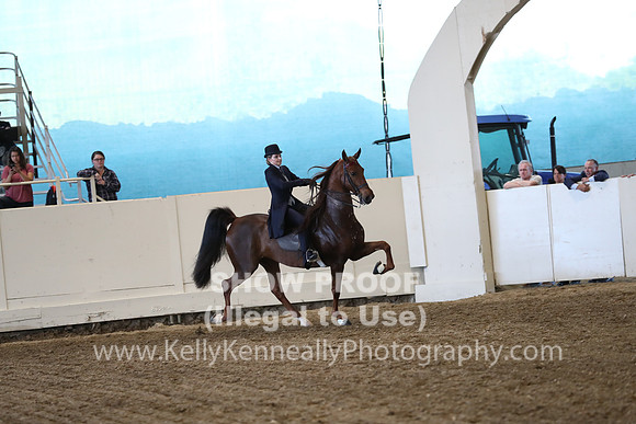 CA_Springfest19_ThursPM_8716