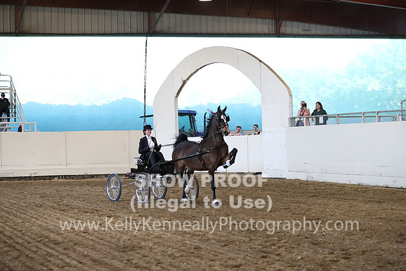CA_Springfest19_ThursPM_8796