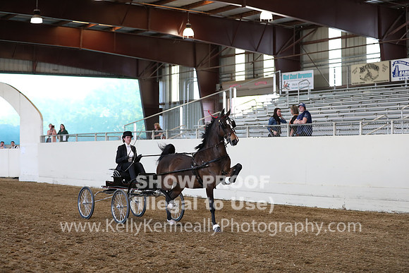 CA_Springfest19_ThursPM_8799
