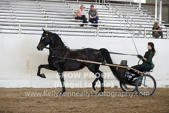 CA_Springfest19_ThursPM_8826