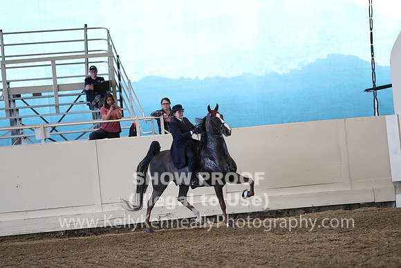 CA_Springfest19_ThursPM_8720