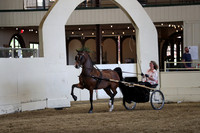 CA_Springfest19_ThursPM_8828