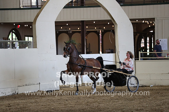 CA_Springfest19_ThursPM_8828
